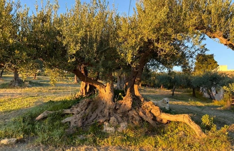 Natuurhuisje in Ribera