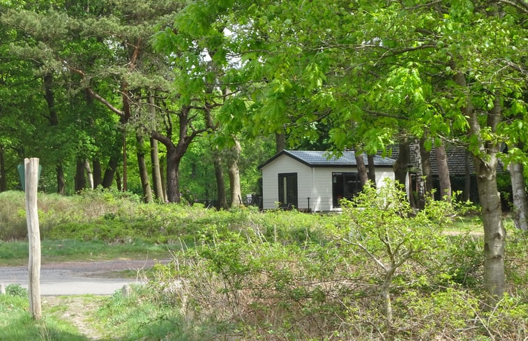 Natuurhuisje in Vierhouten