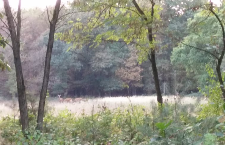 Natuurhuisje in Elspeet