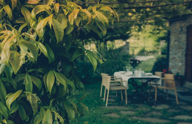 Natuurhuisje in Cortona