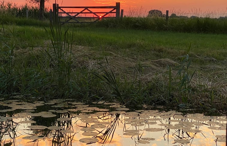 Natuurhuisje in Hank