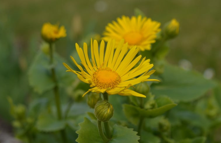 Natuurhuisje in Schmallenberg-Dorlar