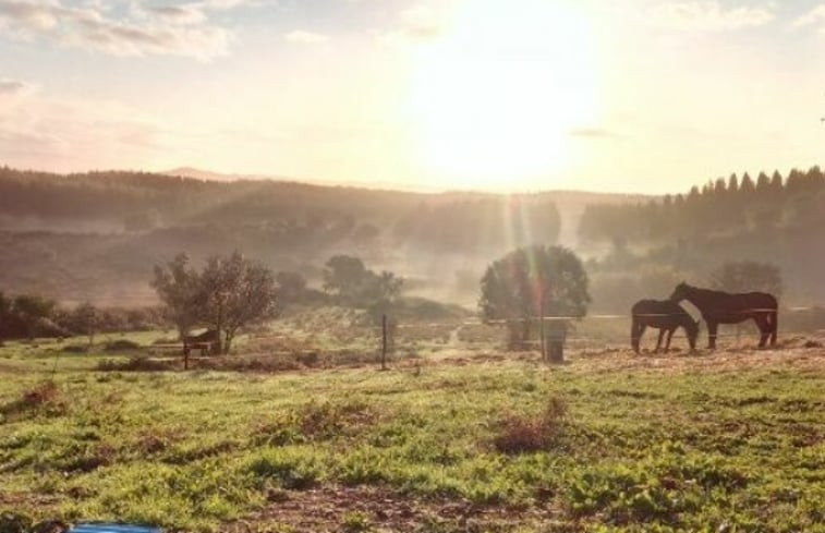 Natuurhuisje in Cercal do Alentejo