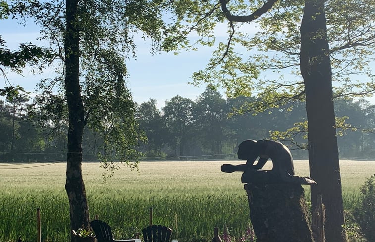 Natuurhuisje in Harfsen