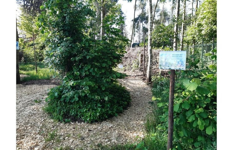 Natuurhuisje in Nederweert Eind