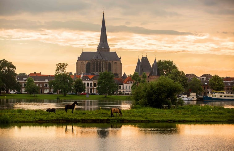 Natuurhuisje in IJsselmuiden