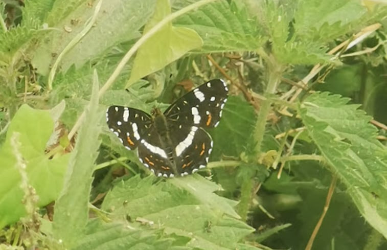 Natuurhuisje in Beaumé