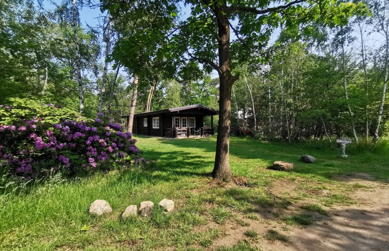 Natuurhuisje in Holten