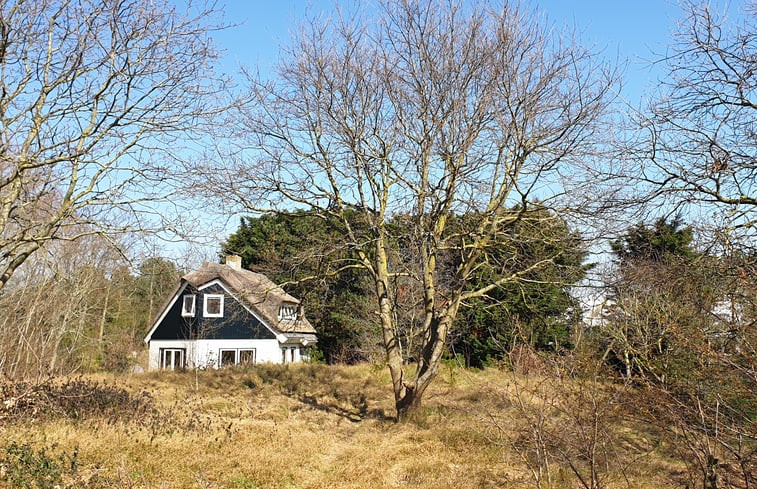 Natuurhuisje in De Cocksdorp