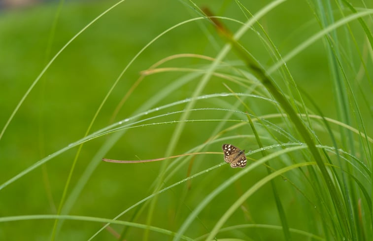 Natuurhuisje in Spier