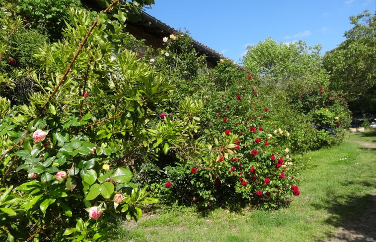 Natuurhuisje in MONTBRUN LAURAGAIS