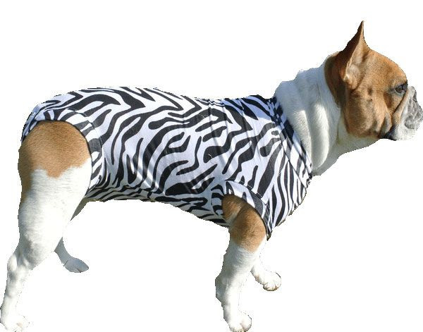 Medical Pet Shirt Hond Zebraprint XXS