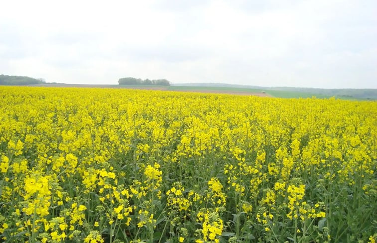 Natuurhuisje in Clery le Grand