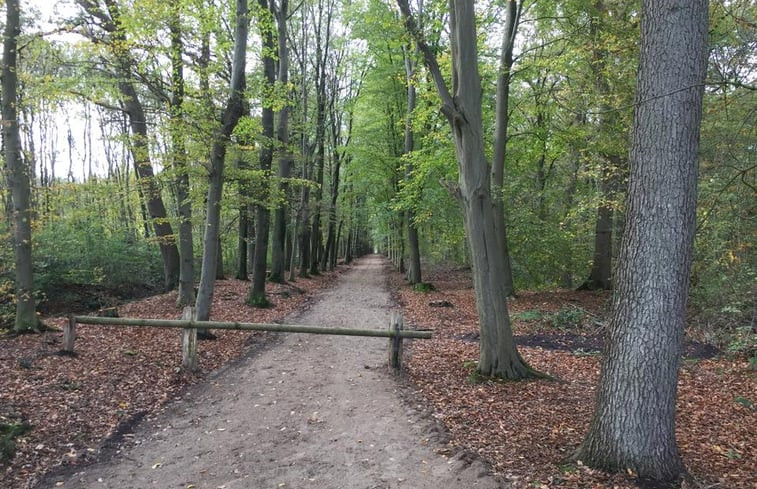 Natuurhuisje in Roden