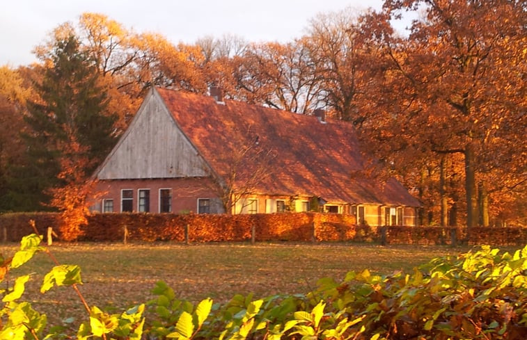 Natuurhuisje in Denekamp