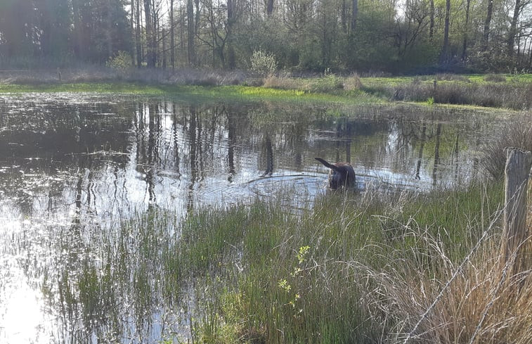 Natuurhuisje in Oirschot