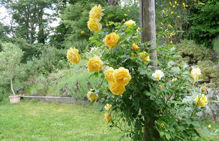 Natuurhuisje in Roccalbegna