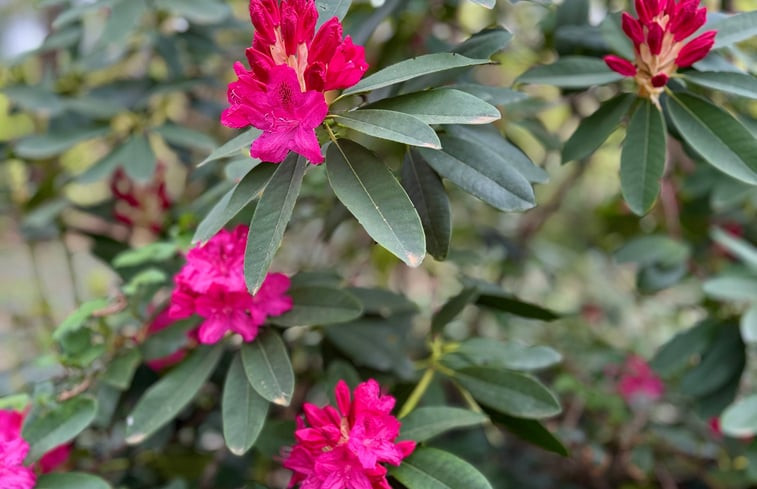 Natuurhuisje in Tilburg