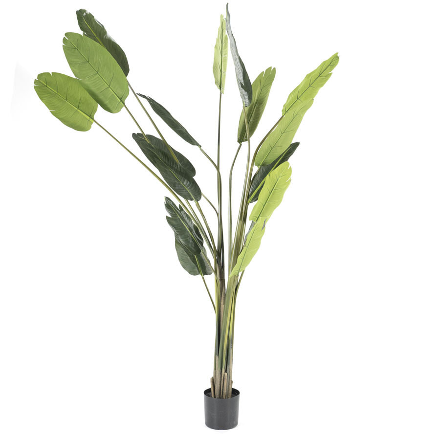 By-Boo Kunstplant Strelitzia 220cm hoog - Groen