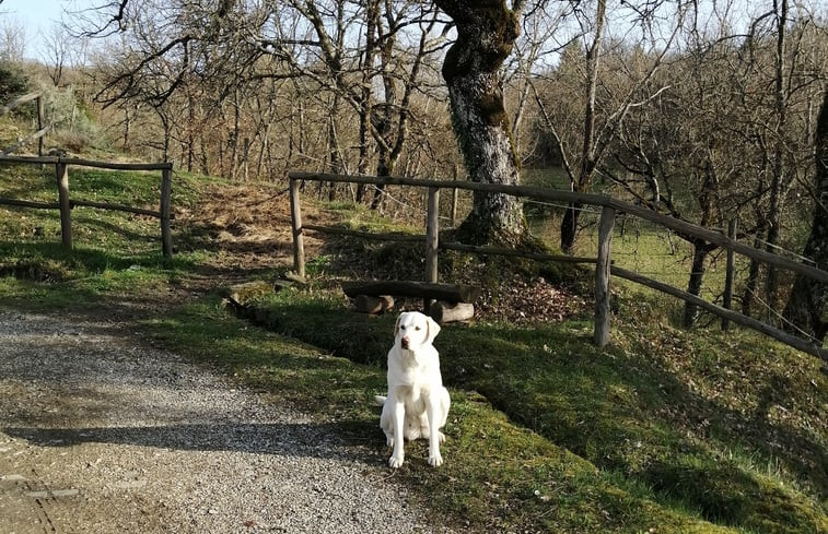 Natuurhuisje in Poppi