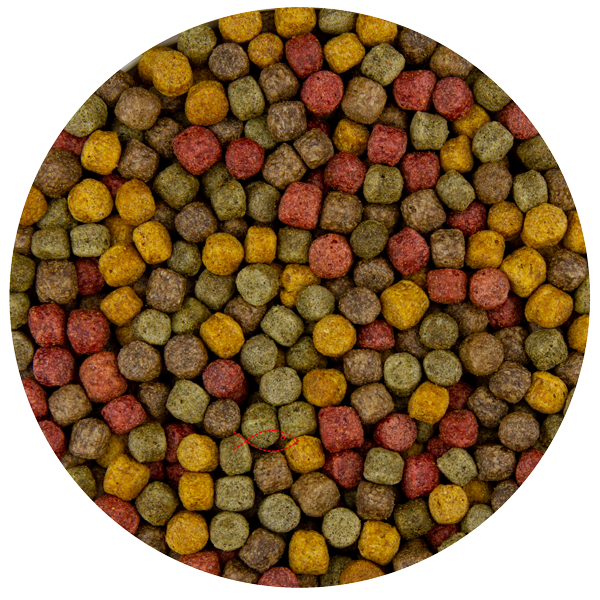 Pond Pro Multi Kwartet Mix 6mm - Uitgebalanceerde Koi Vijvervoeding 5kg - Gezondheid & Kleur