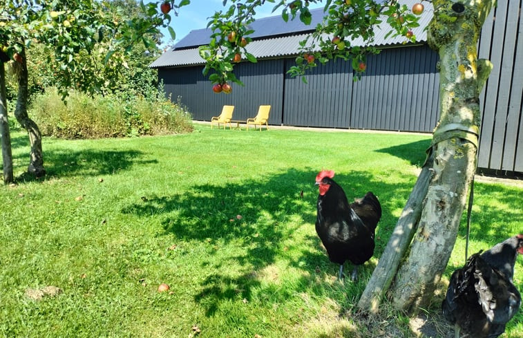 Natuurhuisje in Twello