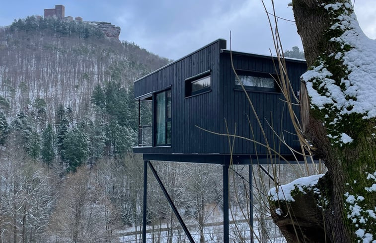 Natuurhuisje in Annweiler am Trifels