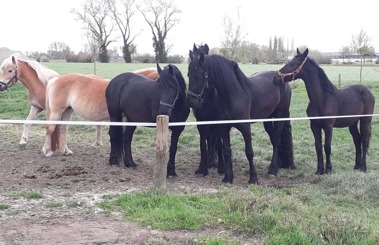 Natuurhuisje in Veurne