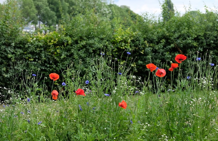 Natuurhuisje in Vierakker