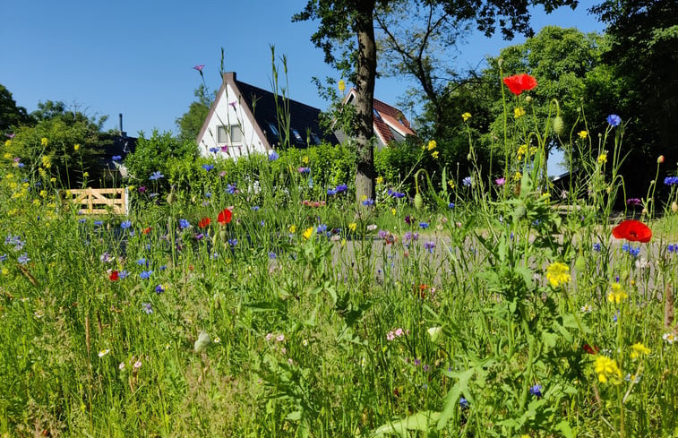 Natuurhuisje in Ruigahuizen