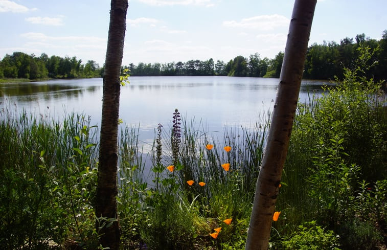 Natuurhuisje in Odoornerveen