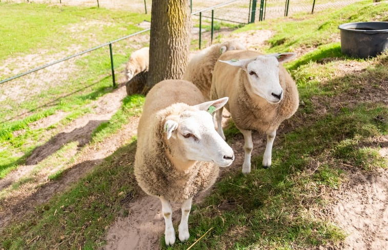 Natuurhuisje in Nuth