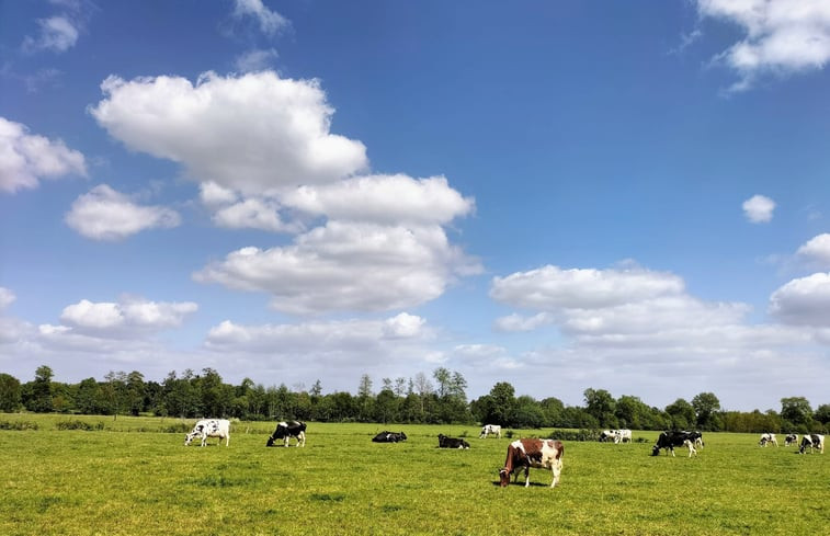 Natuurhuisje in Terkaple