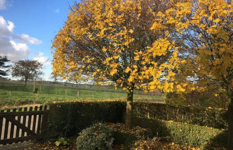 Natuurhuisje in Eede