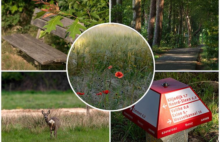 Natuurhuisje in Klijndijk