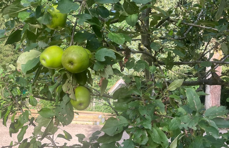 Natuurhuisje in Grobbendonk