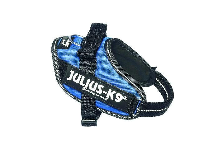 Julius K9 IDC Powertuig Mini Blauw