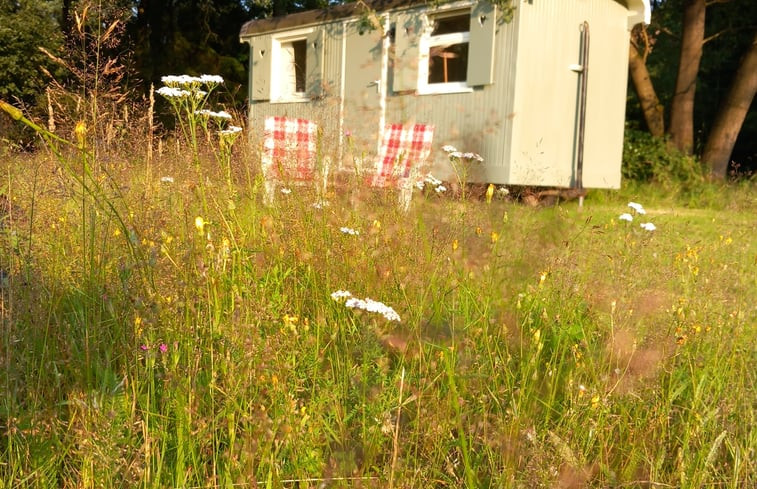 Natuurhuisje in Epe