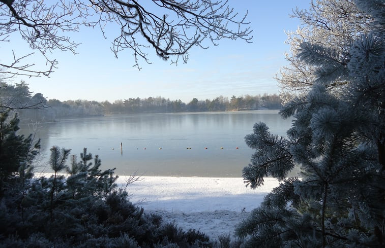 Natuurhuisje in Dwingeloo