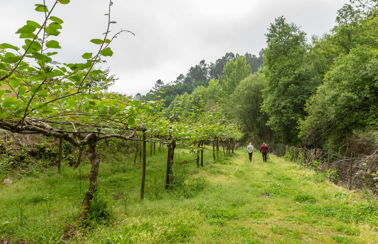 Natuurhuisje in Ribas, Celorico de Basto