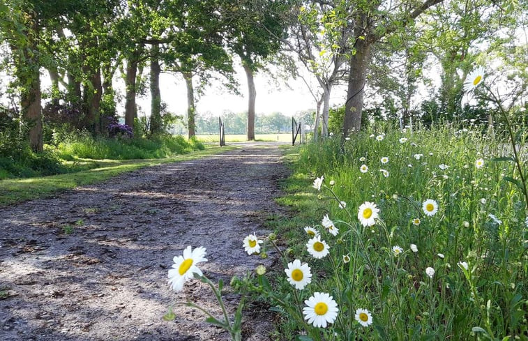 Natuurhuisje in Wateren