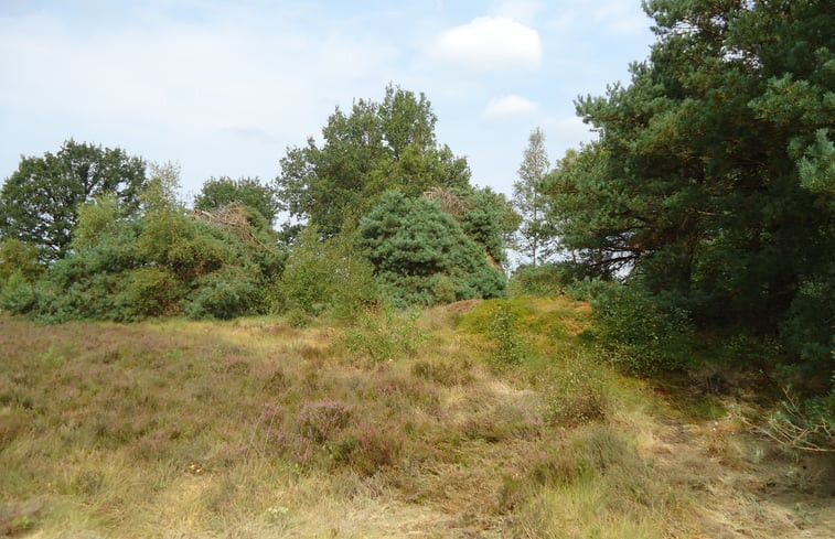 Natuurhuisje in Dwingeloo