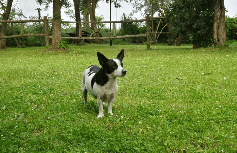 Natuurhuisje in castiglione del lago