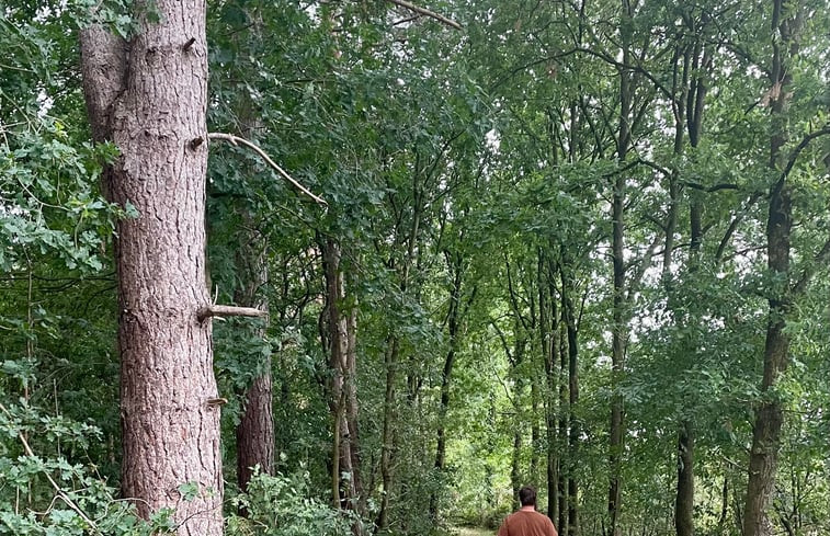 Natuurhuisje in Gierle