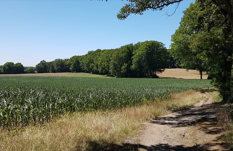 Natuurhuisje in Ruurlo