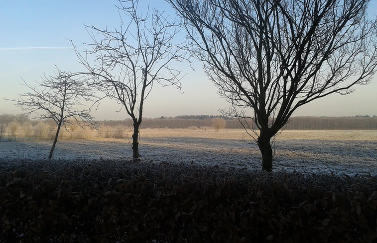 Natuurhuisje in Westendorp