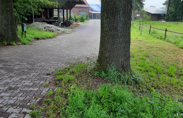 Natuurhuisje in de Lutte