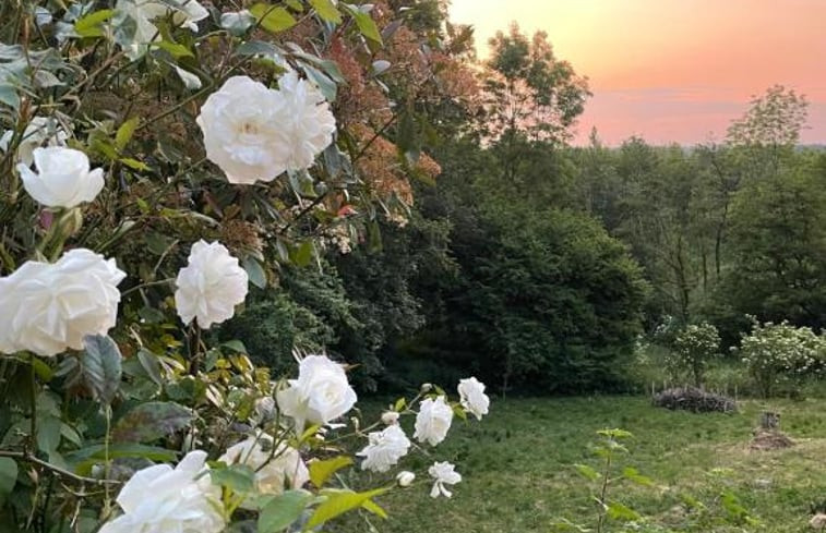 Natuurhuisje in Ellezelles