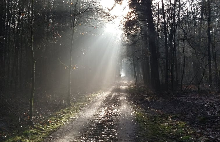 Natuurhuisje in Emst