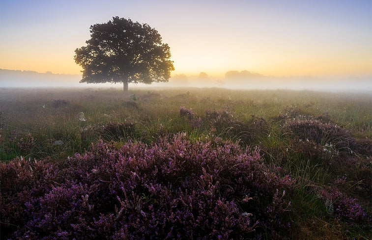 Natuurhuisje in Haaksbergen